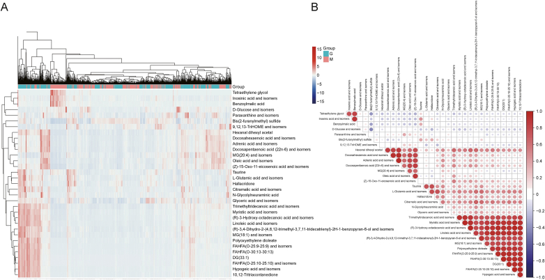 Spatial metabolomics combined with machine learning in colon cancer diagnosis research.