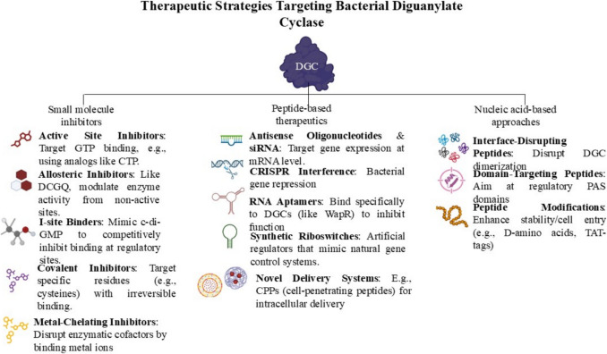Updates on therapeutic targeting of diguanylate cyclase for addressing bacterial infections: A comprehensive review.