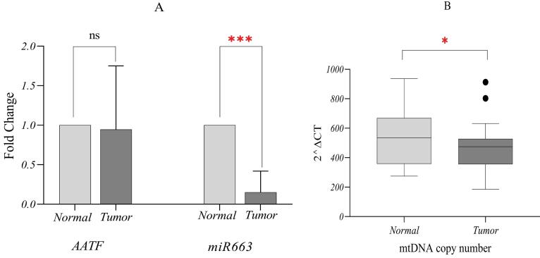 mtDNA copy number/<i>miR663/AATF</i> axis in invasive ductal carcinoma of the breast.