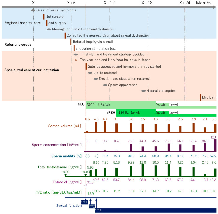 Comprehensive Fertility Management After Pituitary Adenoma Surgery: Lessons from a Rural Japanese Case and Practical Review.