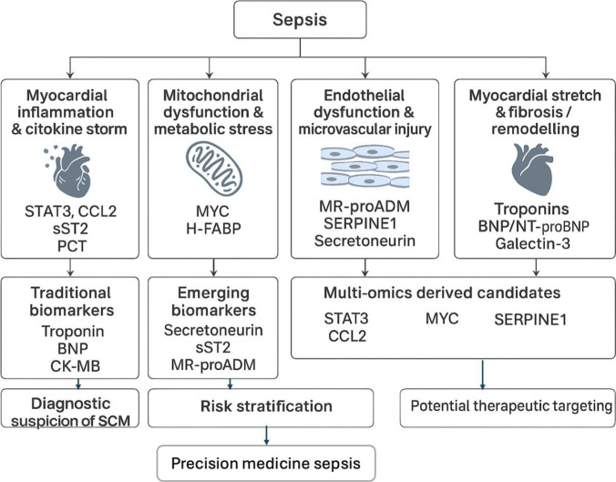 From cardiac injury to omics signatures: a narrative review on biomarkers in septic cardiomyopathy.