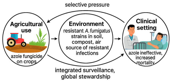 Antifungal Agents in the 21st Century: Advances, Challenges, and Future Perspectives.