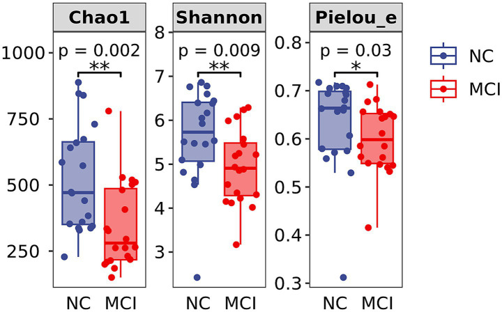 Gut dysbiosis is associated with increased blood-brain barrier permeability and cognitive impairment in elderlies with coronary heart disease.