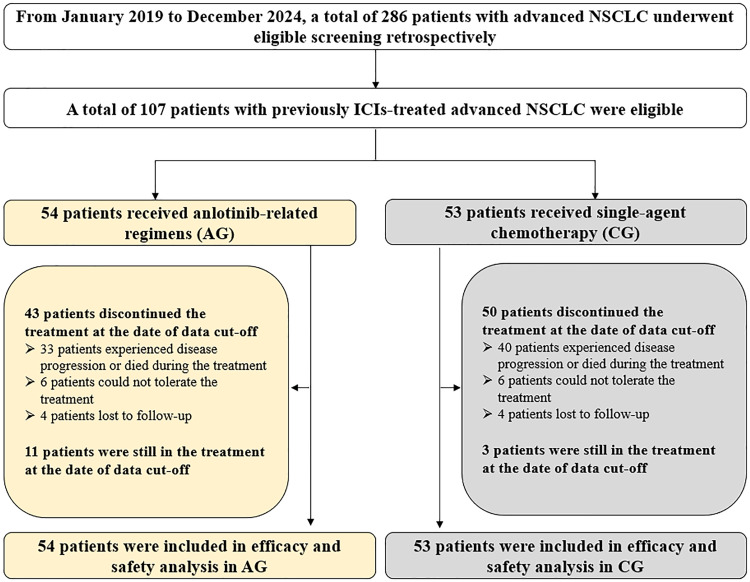 Effectiveness and Safety of Anlotinib-Related Therapeutic Regimens in Patients with Previously Immune Checkpoint Inhibitors-Treated Advanced NSCLC: A Real-World Exploratory Study.