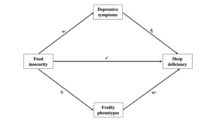Food insecurity and sleep deficiency among older Filipinos: the mediating roles of depressive symptoms and frailty phenotypes.