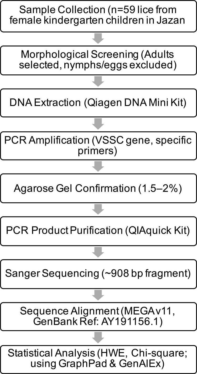 Mapping Knock-Down Resistance Mutations in Head-Louse Populations in Jazan, Saudi Arabia.