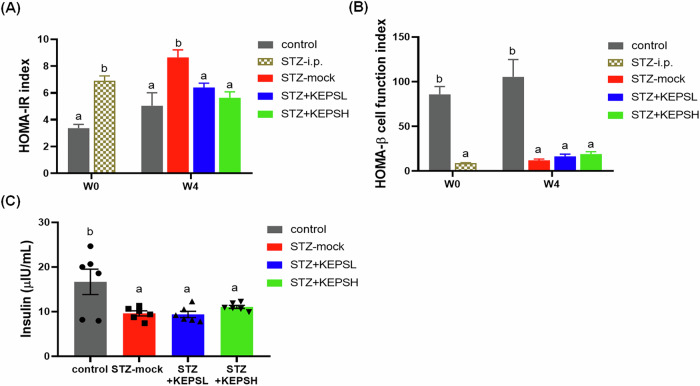 Kefir-derived exopolysaccharide ameliorates hyperglycemic control and beta cell integrity in a rat model of type 2 diabetes mellitus.