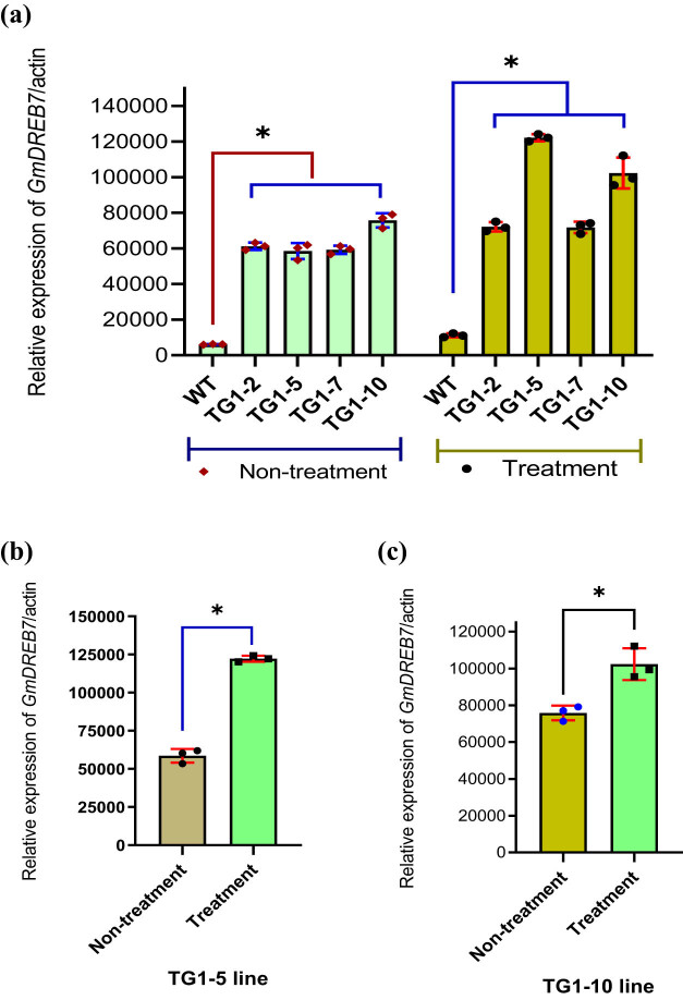 The DREB7 transcription factor enhances salt tolerance in soybean plants under salt stress.