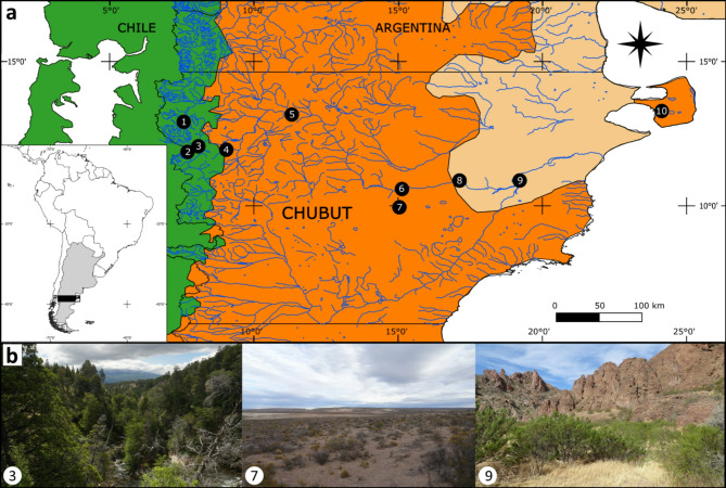 Exploring the effects of climatic and environmental heterogeneity on the spatial activity of Patagonian bats.