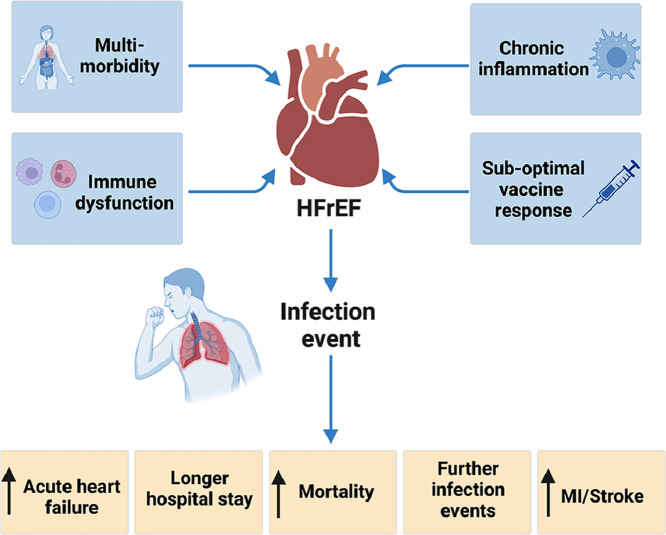 Infection in people with heart failure: an overlooked cause of adverse outcomes.