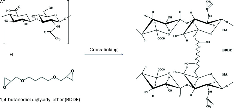 Properties and potentialities of hyaluronic acid and eXcellent Tridimensional Reticulation as a filling agent: a review.