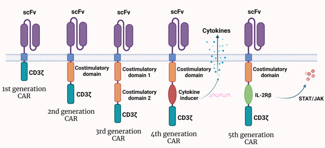 Advancements and challenges in CAR-T cell therapy for solid tumors: A comprehensive review of antigen targets, strategies, and future directions.