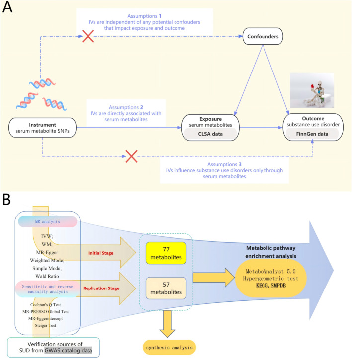Investigating the causal role of serum metabolites in substance use disorder risk: a study integrating Mendelian randomization and synthesis analysis.