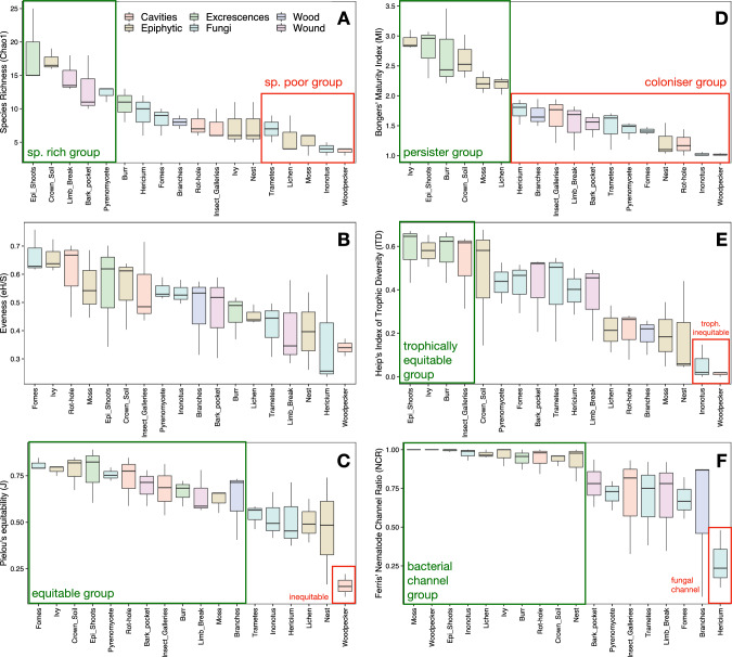 Tree-related microhabitats harbor distinct micro-invertebrate communities and support complex food webs.