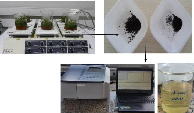 Optimization of biogenic silver particle synthesis for methylene blue degradation.