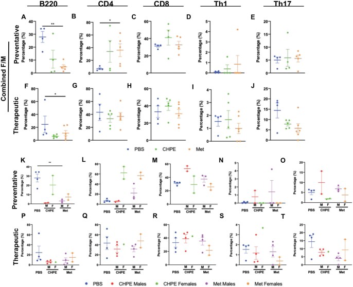 Exploring MHC class II I-Ab blockade as a potential treatment for Sjögren's disease in the mouse model.