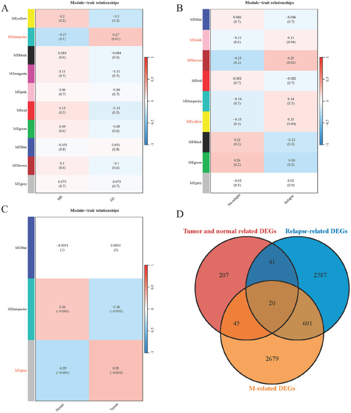 <i>NAT2</i>: A Novel Target in Intrahepatic Cholangiocarcinoma and its Role in Modulating Tumor Behavior.