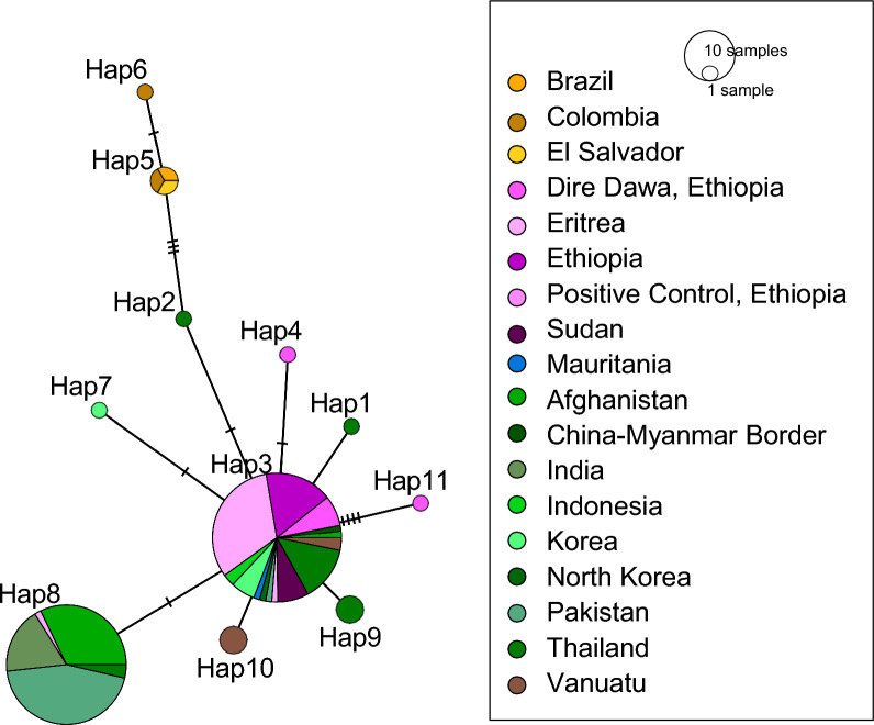 Genetic surveillance of Plasmodium-Anopheles compatibility markers during Anopheles stephensi associated malaria outbreak.