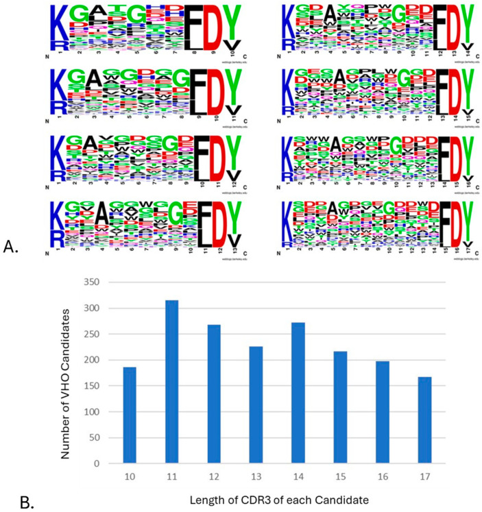 Guidelines in the Preparation of Fully Synthetic, Human Single-Domain Antibody Phage Display Libraries.