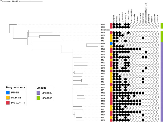 Efflux pumps positively contribute to rifampin resistance in rpoB mutant Mycobacterium tuberculosis.