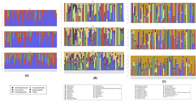 Impact of surgical field disinfection on vaginal microbiome in transvaginal urogynecological surgery: a prospective cohort study.