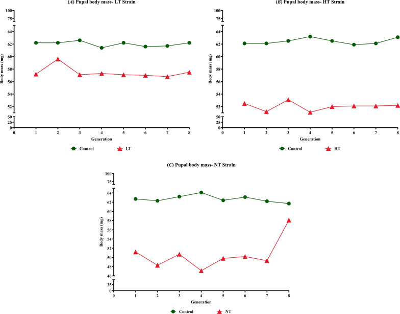 Effects of temperature and nutrition stress on Anopheles stephensi, an Indian urban malaria vector.