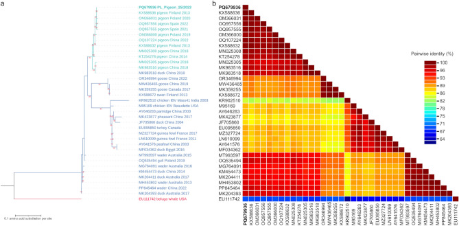 Author Correction: Coronaviruses in diarrheic pigeons and the first determination of the complete genome of a new pigeon gammacoronavirus.