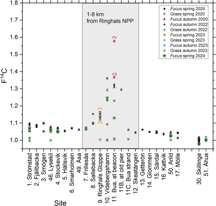 Current trends in radiocarbon in Skagerrak and Kattegat assessed by brown algae from Swedish coastal waters.