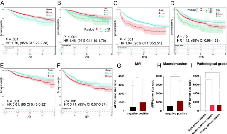 Serum Alpha-Fetoprotein-Tumor Size Ratio as a Prognostic Marker After Hepatic Resection for Primary Hepatocellular Carcinoma: Propensity Score Matched Retrospective Cohort Study.