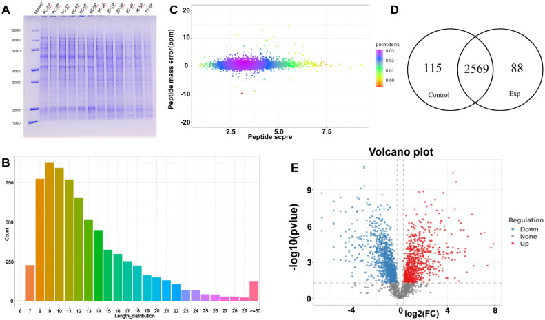 Comparative Multi-Omics Analysis and Antitumor Activity of <i>Phylloporia crataegi</i> and <i>Phylloporia fontanesiae</i>.