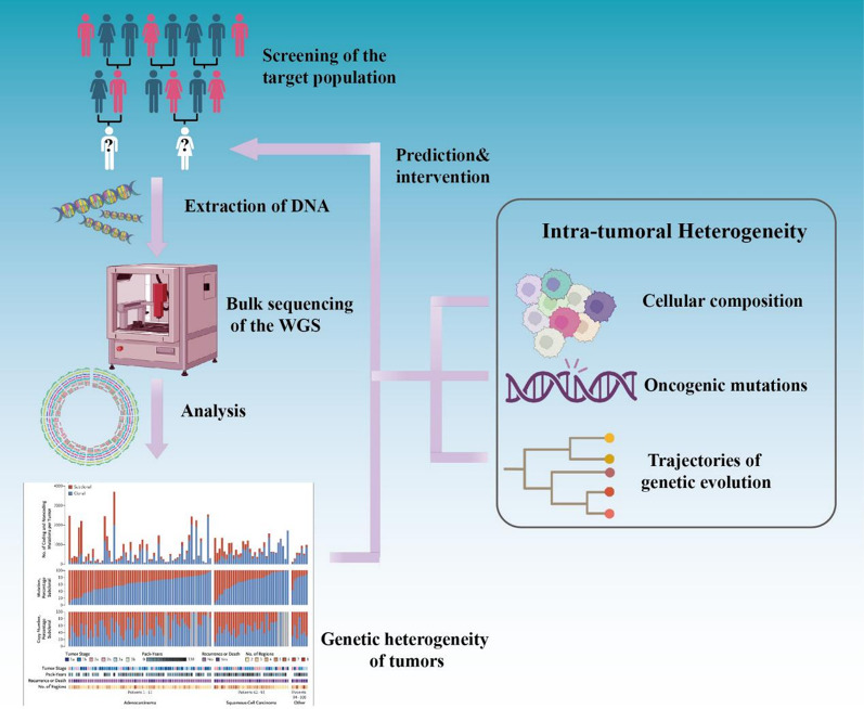 Integration of multi-omics approaches in exploring intra-tumoral heterogeneity.