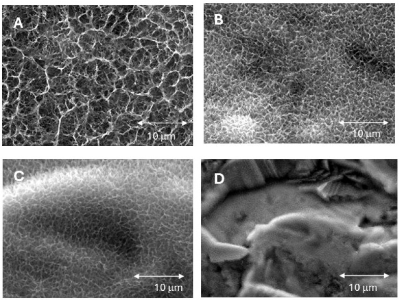 Controlling Sodium Titanate Crystal Size to Improve Wettability and Early Osseointegration of Titanium Implants: Insights from an Animal Model.