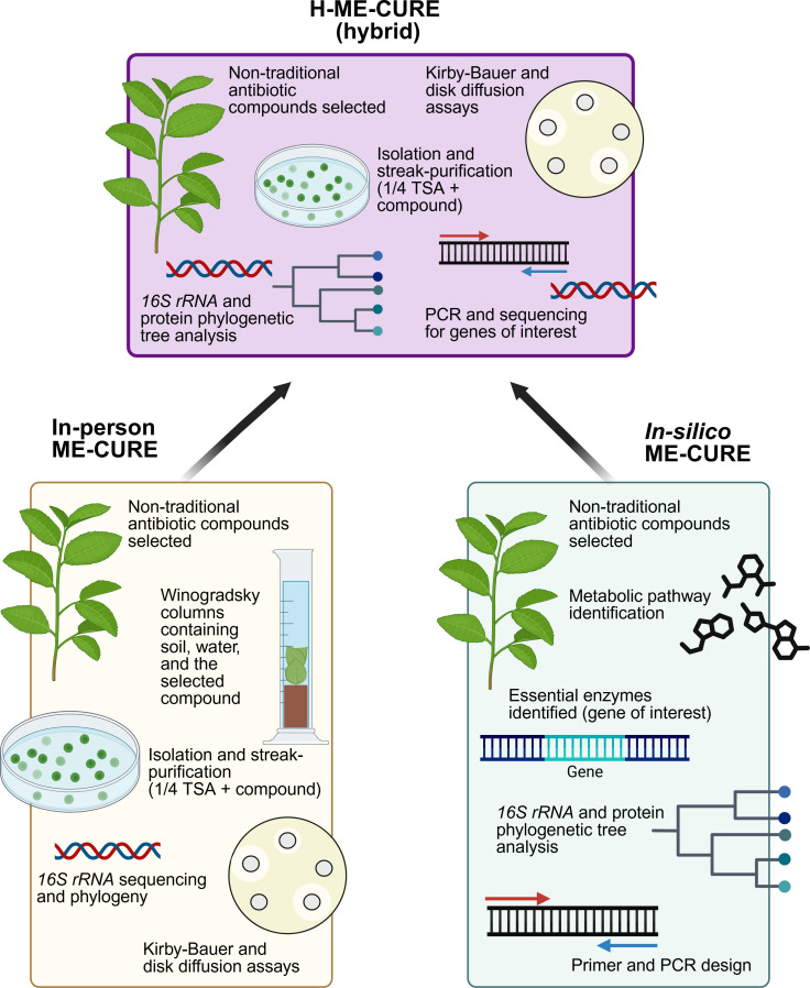 There and back again: navigating the return to in-person lab work post-pandemic for the Hybrid Microbial Ecology Course-based Undergraduate Research Experience (H-ME-CURE).