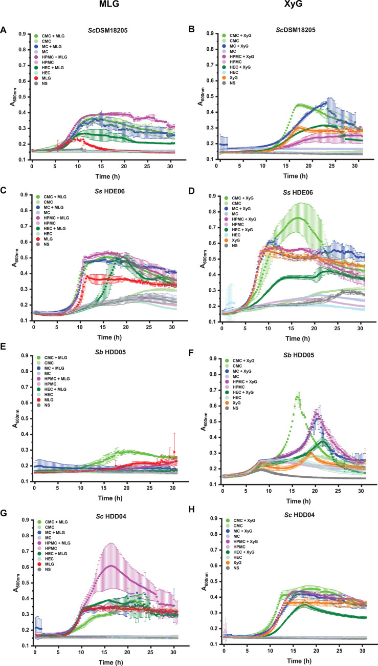 Artificial cellulose derivatives are metabolized by select human gut Bacteroidota upon priming with common plant β-glucans.