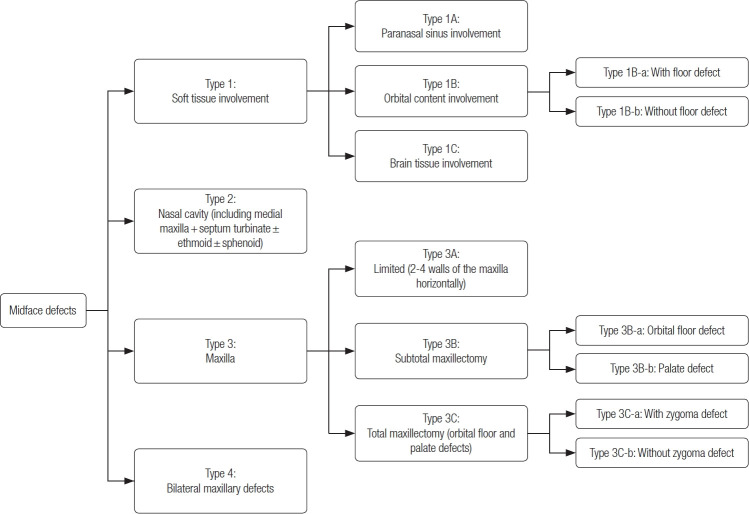 Midface defects caused by mucormycosis with a new classification: a retrospective study.