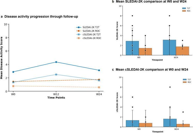 Advancing treat-to-target in SLE: a pilot study using a clinical decision support system.