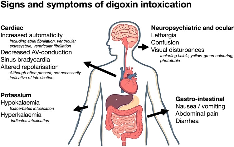 Dietary lifestyle changes unexpectedly causing digoxin intoxication with cardiogenic shock: a grand round case report.