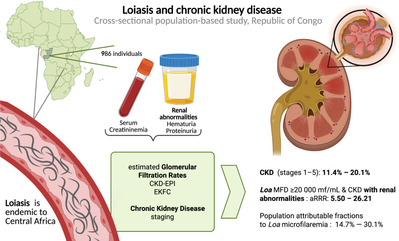 Chronic kidney disease related to Loa loa microfilaremia in a rural area of the Republic of Congo: a population-based cross-sectional study.