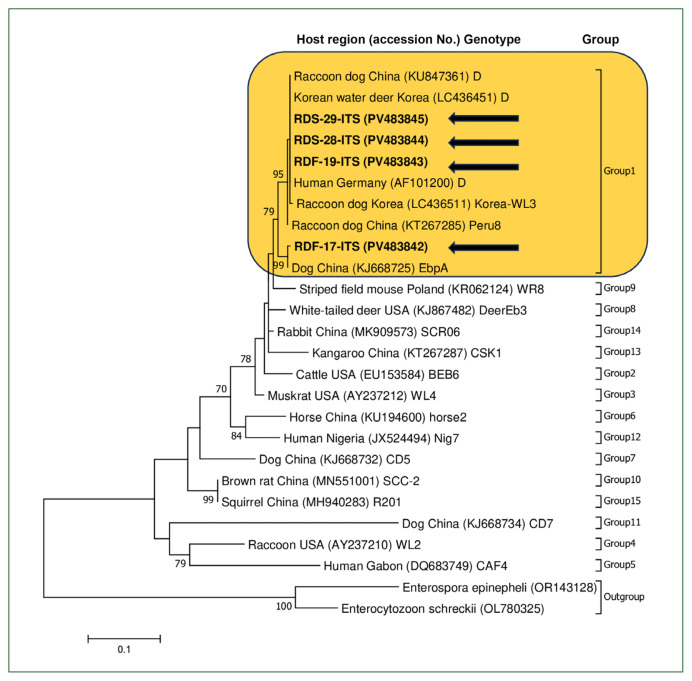 Distribution and genotypes of Enterocytozoon bieneusi in raccoon dogs in Korea.