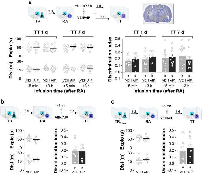 CaMKII modulates memory destabilization by regulating the interaction of theta and gamma oscillations.