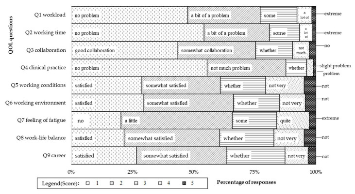 Development of a Work-Related Quality of Life Questionnaire for Medical Doctors (WQMD-9) in Japan: Questionnaire Design and Quantitative Survey.