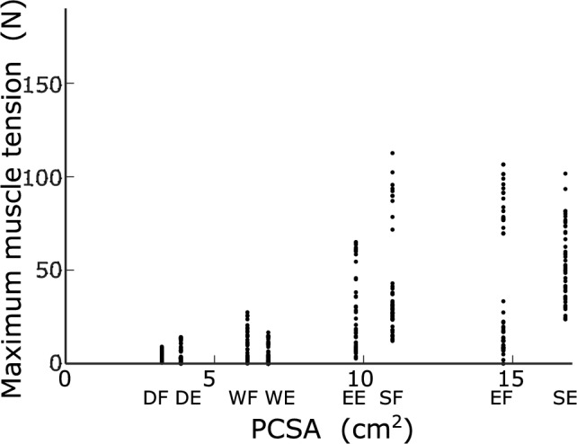 Computational model to reproduce fingertip trajectories and arm postures during human three-joint arm movements: minimum muscle-stress-change model.
