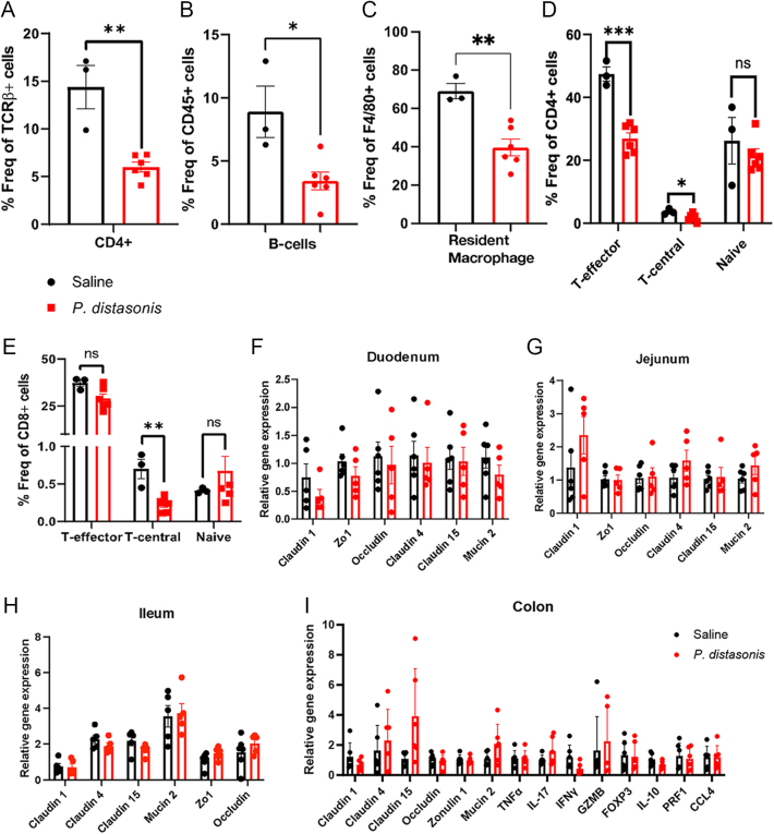Impact of Parabacteroides distasonis colonization on host microbiome, metabolome, immunity, and diabetes onset.
