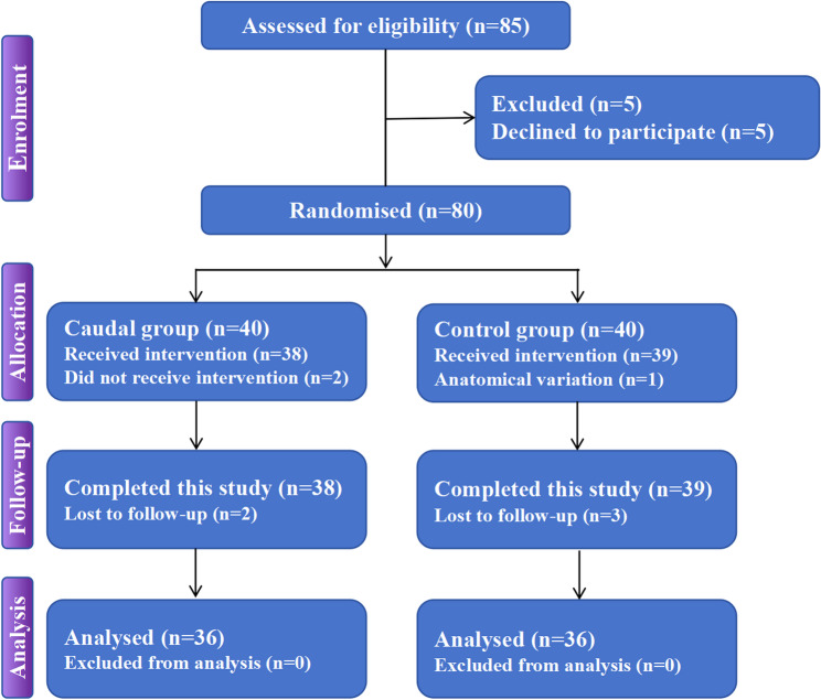 Efficacy and safety of hydromorphone caudal block combined with intercostal nerve block during VATS: a single-center randomized controlled study.
