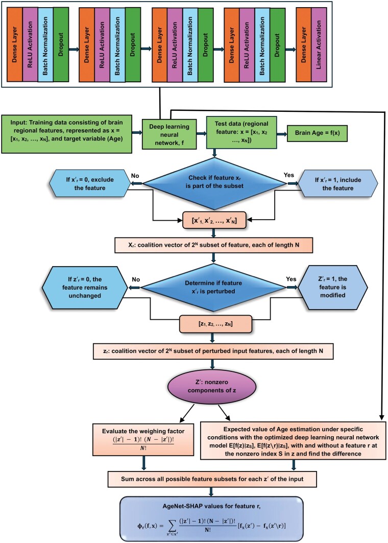 An explainable AI approach for mapping multivariate regional brain age and clinical severity patterns in Alzheimer's disease.