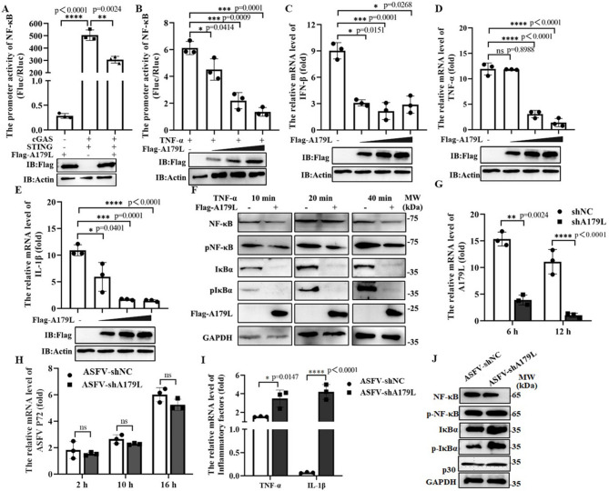 African swine fever virus A179L inhibits interferon induced transmembrane protein 1 activation of NF-κB pathway.
