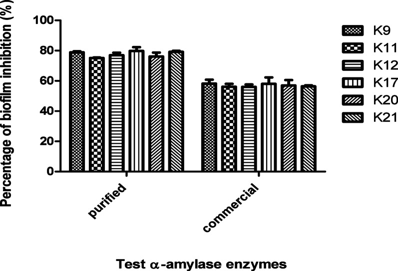 Bacillus cereus-derived α-amylase disrupts biofilm formation and quorum sensing in multidrug-resistant Klebsiella pneumoniae.