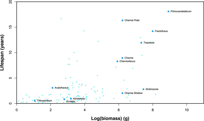 Constraining the lifespans of early animals of the Ediacaran.