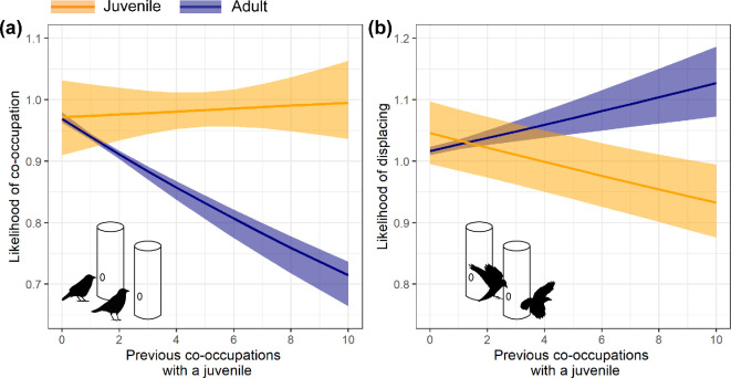 Wild jackdaws learn to tolerate juveniles to exploit new foraging opportunities.
