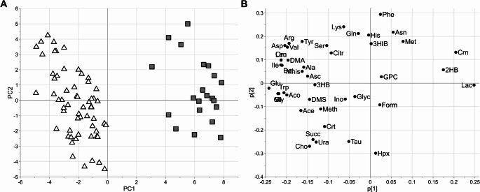 Translating metabolomic evidence gathered from an animal model to a real human scenario: the post-mortem interval issue.